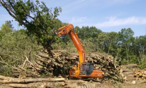 land clearing